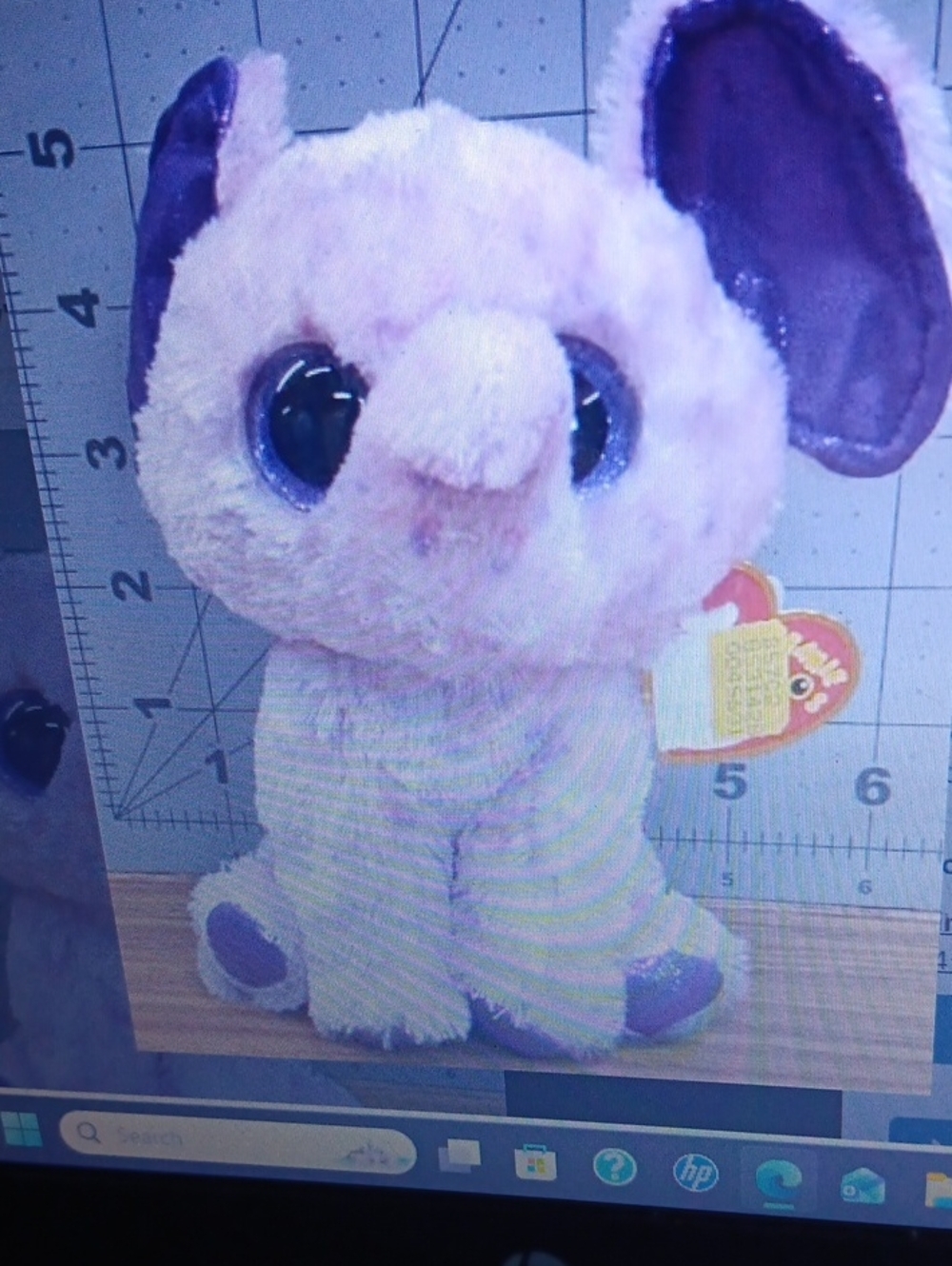 Ty Eva Elephant Beanie Boos New